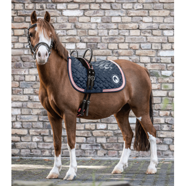 Cinchuelo Waldhausen 2 asas Negro / rosa rojo