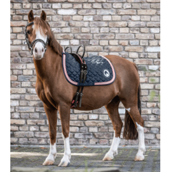 Cinchuelo Waldhausen 2 asas Negro / rosa rojo