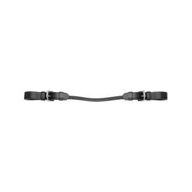 Asa de sujeción de silla Waldhausen Negro