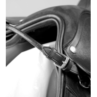 Asa de sujeción de silla Waldhausen Negro