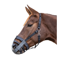 Muselière equitación Waldhausen cómoda y segura