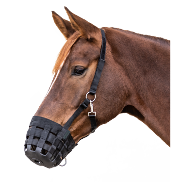 Cesta de pasto para caballos Waldhausen