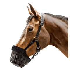 Cesta para caballos Waldhausen anticomilona