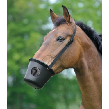 Cesta anti-cólicos Waldhausen caballo Negro