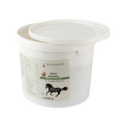 Suplemento mineral para caballos Waldhausen