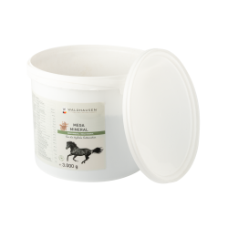 Suplemento mineral para caballos Waldhausen