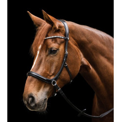 Cabezada sin bocado Sensation Waldhausen X-Line Negro