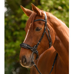 Brida hackamore Waldhausen X-Line Negro