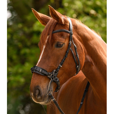 Brida hackamore Waldhausen X-Line Negro