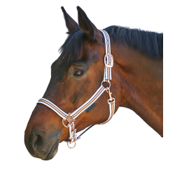 Cabezada de equitación Shine Waldhausen