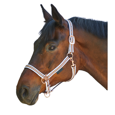 Cabezada Waldhausen Shine Negro / oro rosado