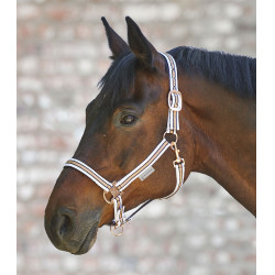 Cabezada de equitación Shine Waldhausen