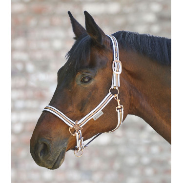 Cabezada de equitación Shine Waldhausen