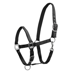 Cabezada Waldhausen Satin Negro