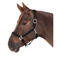 Cabezada Waldhausen Satin Negro