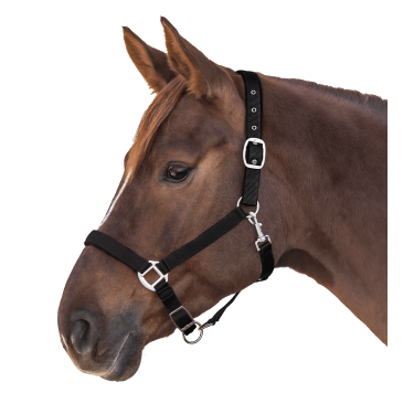 Cabezada Waldhausen Satin Negro