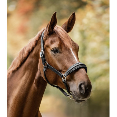Cabezada de equitación de cuero Waldhausen Glamour