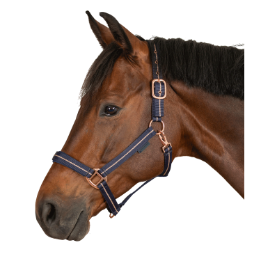 Cabezada Waldhausen Rosé Azul nocturno