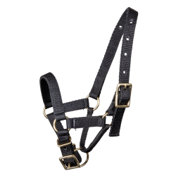 Cabezada de equitación ajustable para alpaca