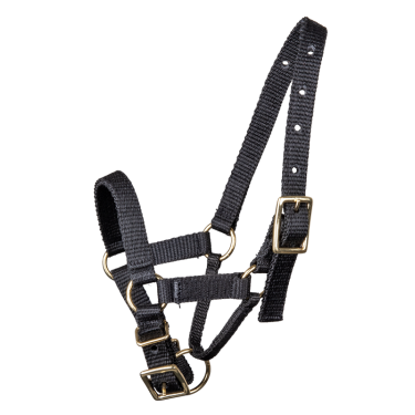 Cabezada Waldhausen para alpaca Negro