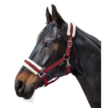 Cabezada Waldhausen First Burdeos