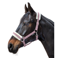 Cabezada Waldhausen First Negro