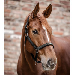 Cabezada ergonómica para equitación Waldhausen