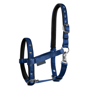 Cabezada Potro Waldhausen Confort Azul oscuro