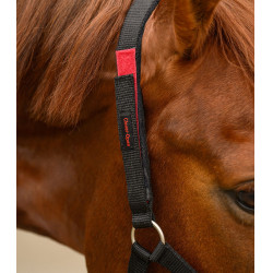 Cabezada de seguridad Waldhausen Negro