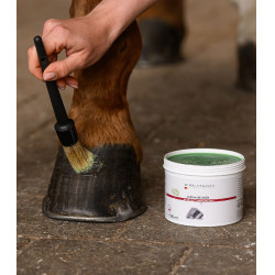 Grasa para cascos Waldhausen 500 ml Verde