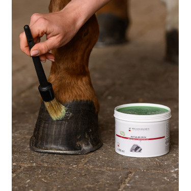 Grasa para cascos Waldhausen 500 ml Verde