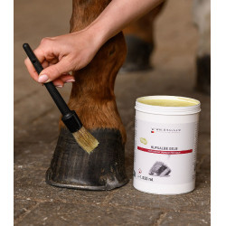 Grasa equina para cascos Waldhausen 1L Grasa equina para cascos Waldhausen 1L