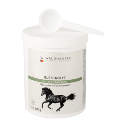 Electrolitos para caballos tras esfuerzo físico