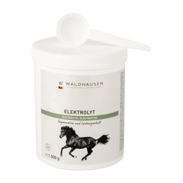 Electrolitos para caballos tras esfuerzo físico