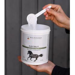 Electrolitos para caballos tras esfuerzo físico