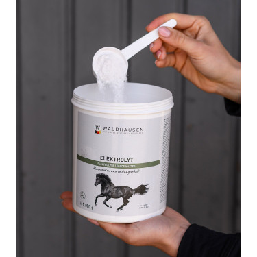 Electrolitos para caballos tras esfuerzo físico