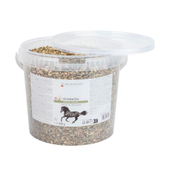 Suplemento equino inmunitario con equinácea 1 kg