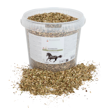 Suplemento equino inmunitario con equinácea 1 kg