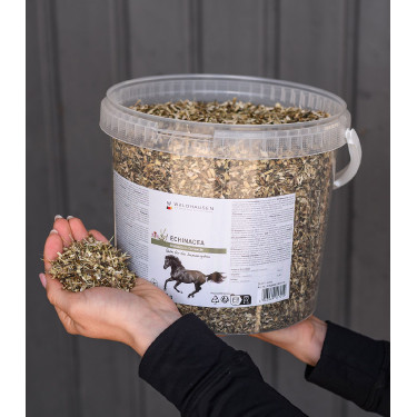 Suplemento equino inmunitario con equinácea 1 kg