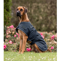 Capa impermeable para perro equitación Waldhausen