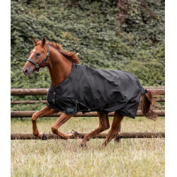 Manta impermeable para caballo Waldhausen 100 g Manta impermeable para caballo Waldhausen 100 g