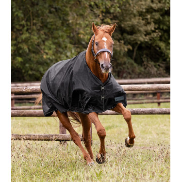 Manta impermeable para caballo Waldhausen 100 g Manta impermeable para caballo Waldhausen 100 g