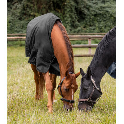 Manta impermeable para caballo Waldhausen 100 g Manta impermeable para caballo Waldhausen 100 g