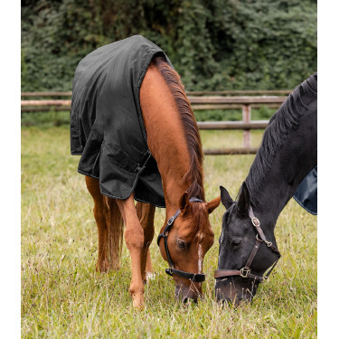 Manta impermeable para caballo Waldhausen 100 g Manta impermeable para caballo Waldhausen 100 g