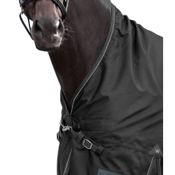 Manta impermeable para caballo exterior 100g Waldhausen Manta impermeable para caballo exterior 100g Waldhausen