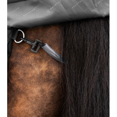 Manta impermeable para caballo exterior 100g Waldhausen Manta impermeable para caballo exterior 100g Waldhausen