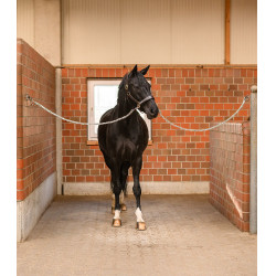Cadena de sujeción para caballos 150 cm Waldhausen