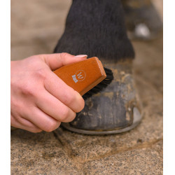 Cepillo duro para cascos de caballo Waldhausen