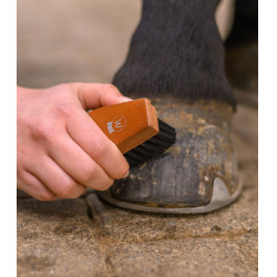 Cepillo duro para cascos de caballo Waldhausen