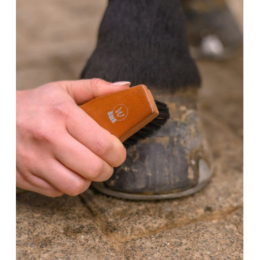 Cepillo duro para cascos de caballo Waldhausen